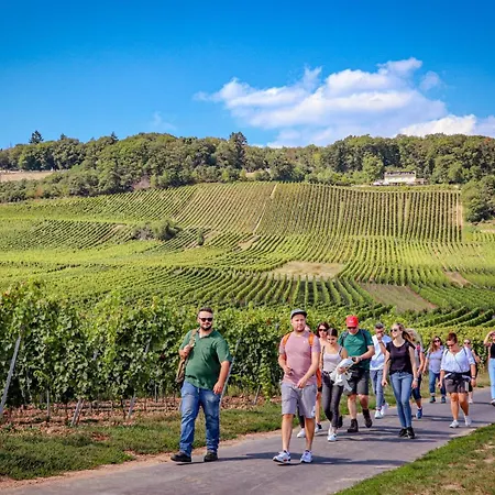 Einzigartiges Angebot - Maisonette Mit Balkon & Parkplatz, Zentral & Ruhig Apartman *